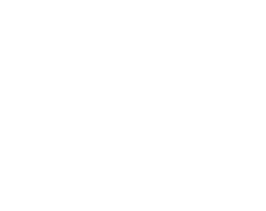 Asia Influencer X